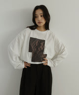 アソートフォトロンT