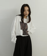 アソートフォトロンT