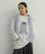 アソートフォトロンT