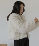 スタンドカラーフェイクファーブルゾン