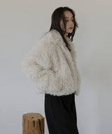 スタンドカラーフェイクファーブルゾン