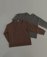 アンサンブル風Vネックニット